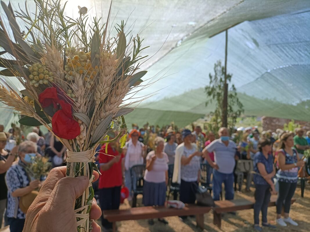 festa-da-espiga-regressa-a-aboboreira-na-quinta-feira-da-ascensao