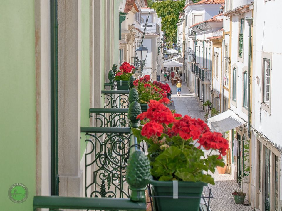 tomar-avanca-com-taxa-turistica-de-dois-euros-e-isencao-para-peregrinos-(c/audio)