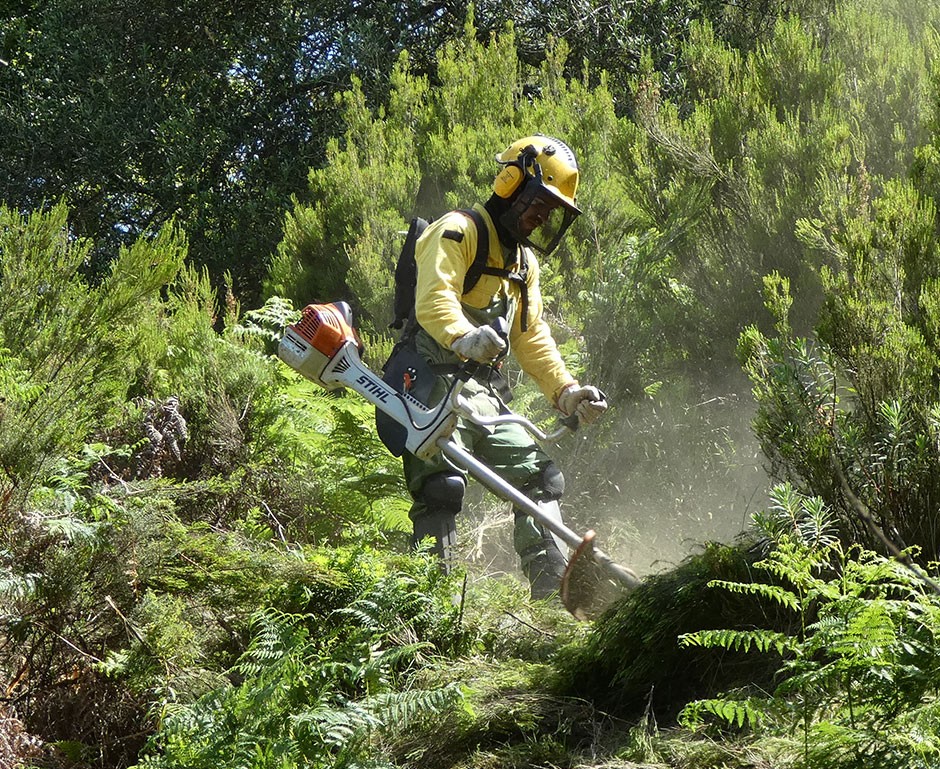tomar-aprova-oigp-2.0-e-concede-apoios-para-limpeza-de-terrenos-afetados-pela-tempestade