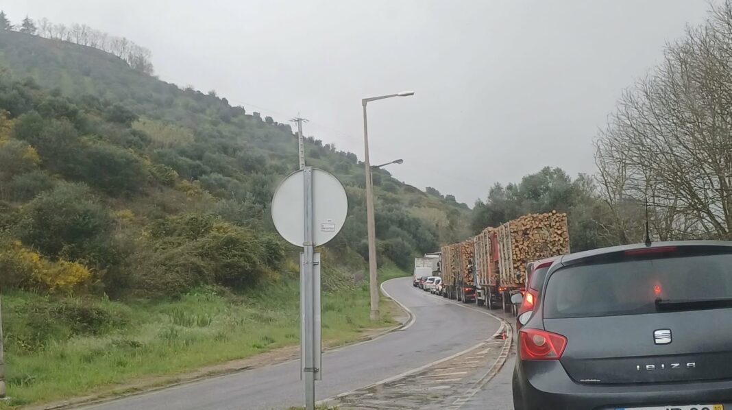 mau-tempo-|-abrantes-aguarda-obras-na-en2-cinco-meses-apos-intemperies
