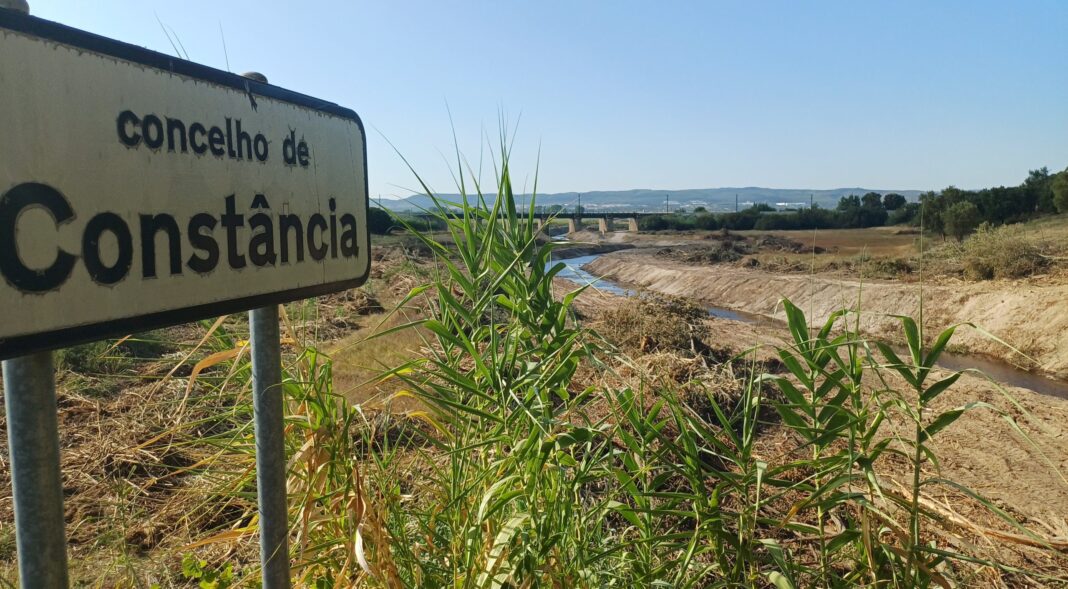 intervencao-na-ribeira-de-alcolobre-gera-polemica-e-autarquias-aguardam-esclarecimentos-da-apa