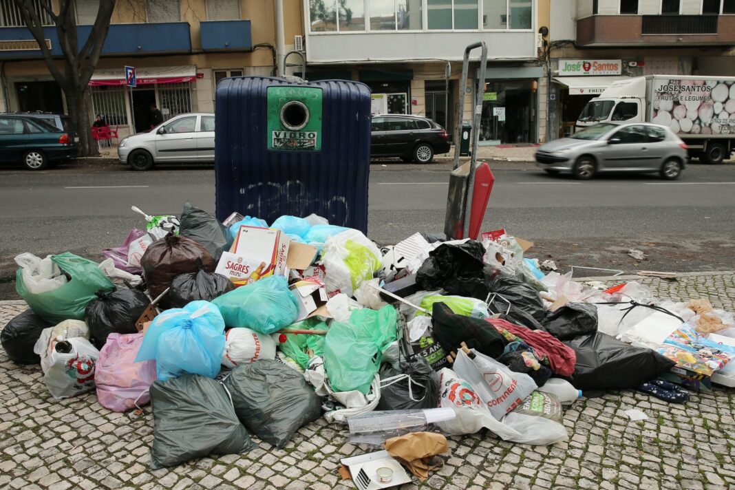 tomar-vai-reforcar-recolha-de-monos-apos-vereador-denunciar-“situacao-degradante”-nos-ecopontos
