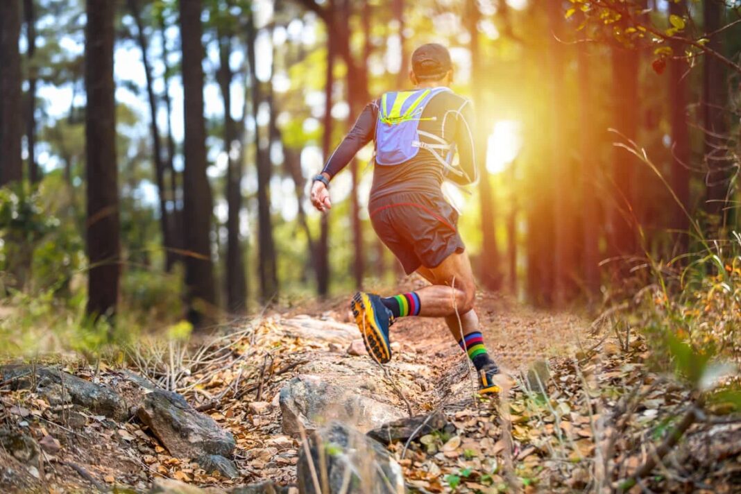 prova-de-resistencia-terrantez-trail-team-regressa-a-minde-a-29-de-agosto