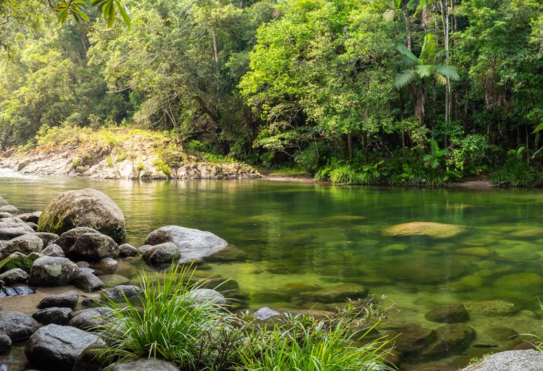 organizacoes-de-ambiente-defendem-plano-de-restauro-da-natureza-mais-claro-e-operacional